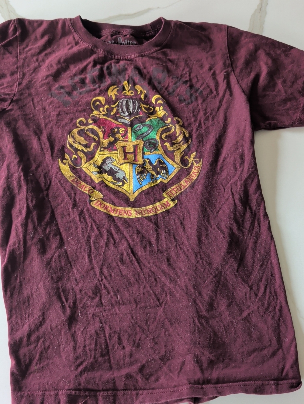 Kids' Burgundy Crest Short-Sleeve Tee